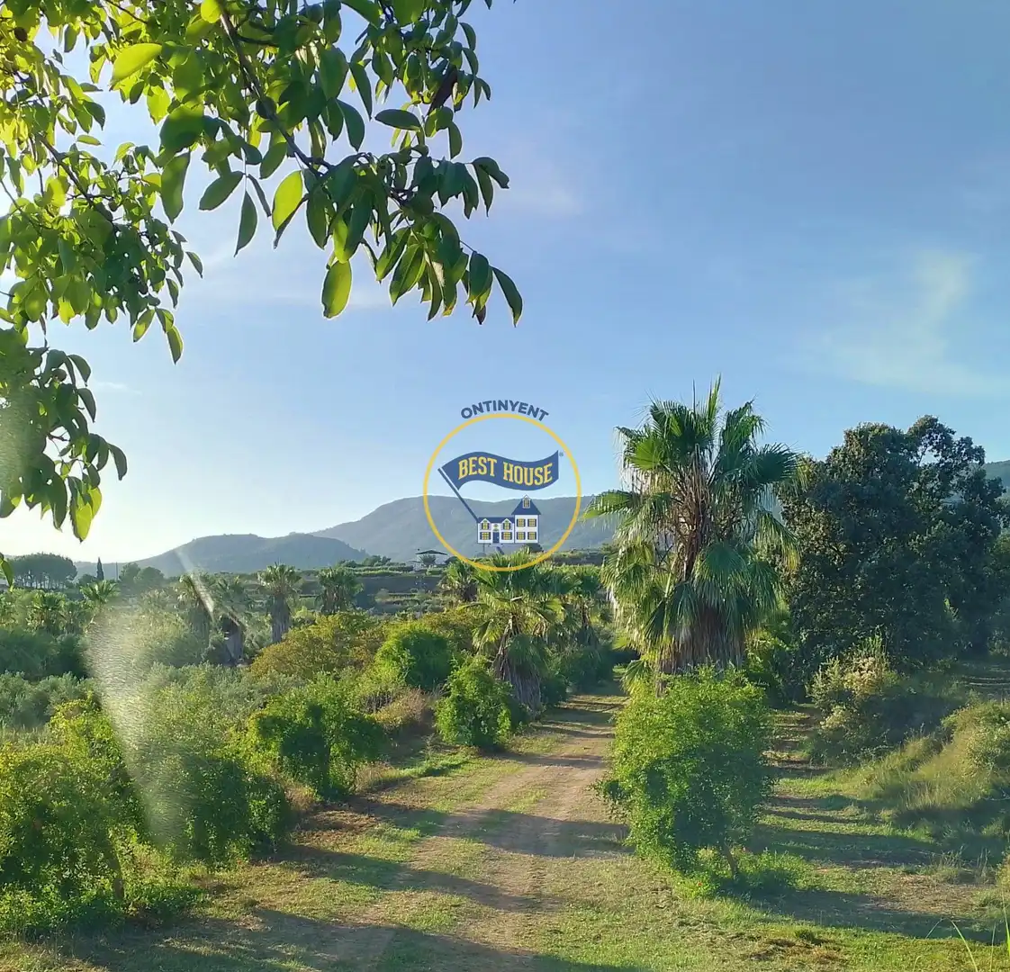 Terrenys i solars en venda a Agullent, imagen 4