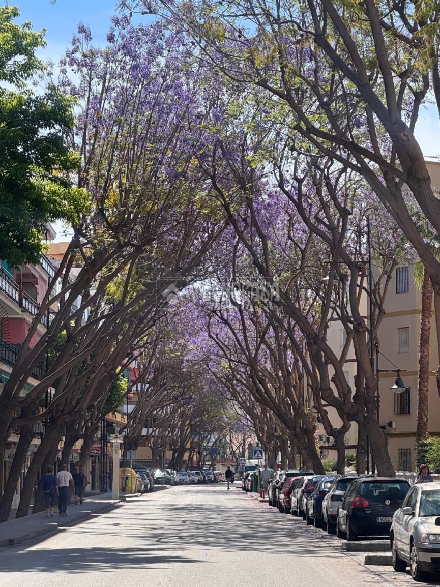 Flat for sale in Centro ciudad