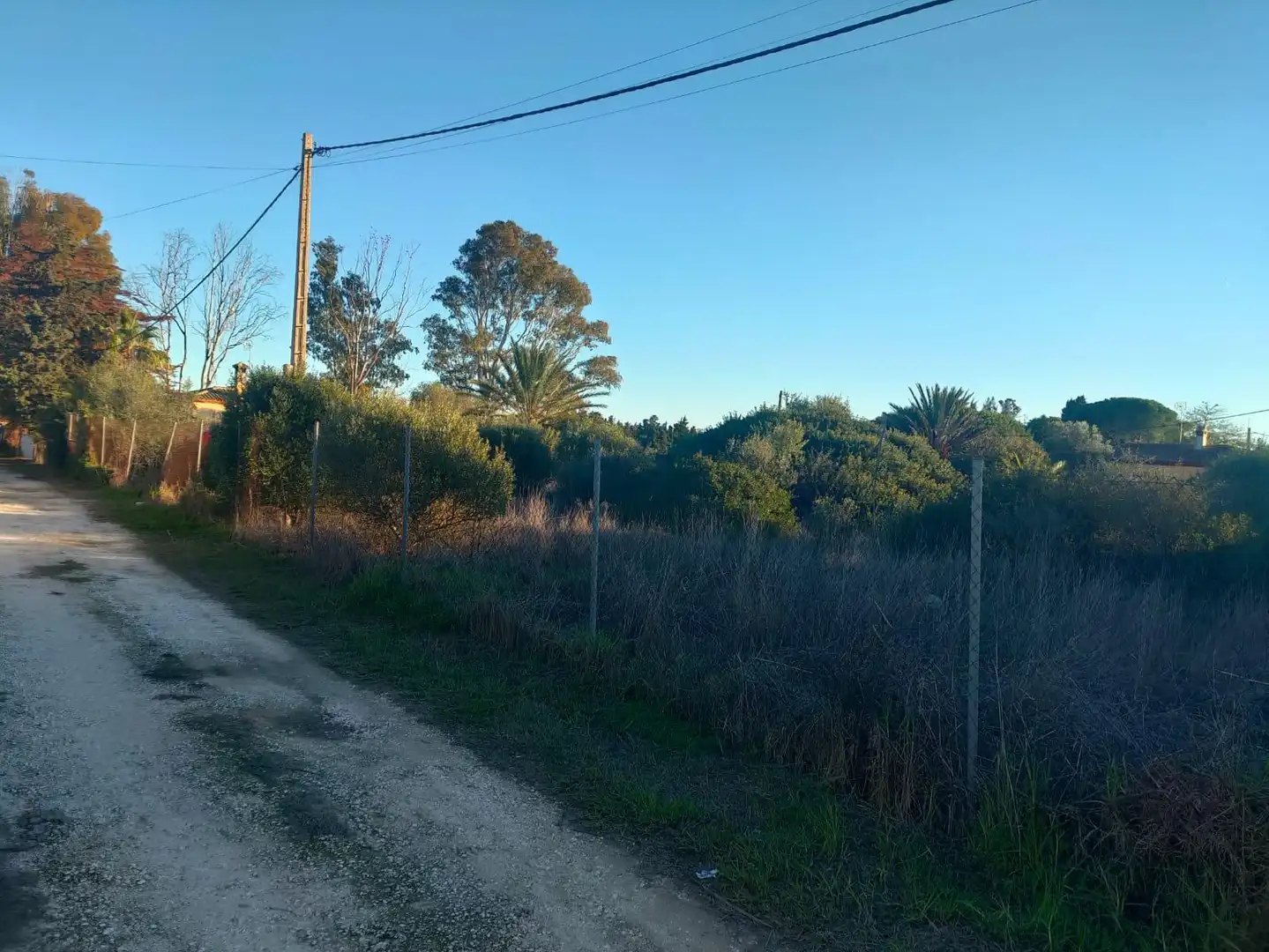 Terreno rustico in vendita a La Coquina, imagen 4