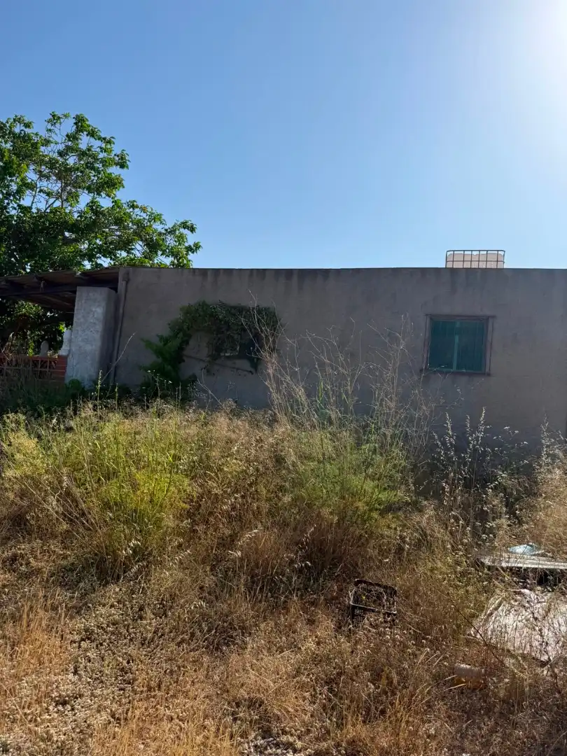 Terreno rustico in vendita a Partidas de interior - Zona Rústica, imagen 21