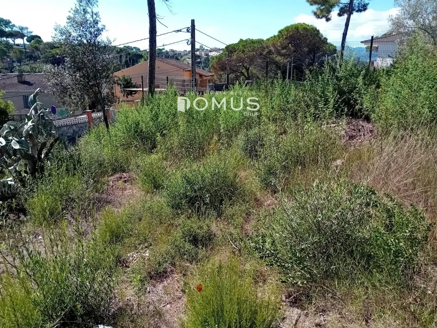 Terreno rustico in vendita a Dels Eucaliptus, imagen 5