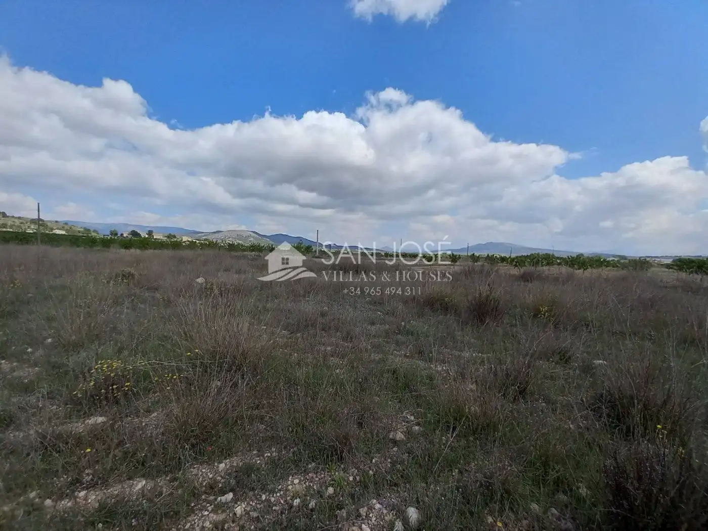 Land for sale in Monóvar  / Monòver