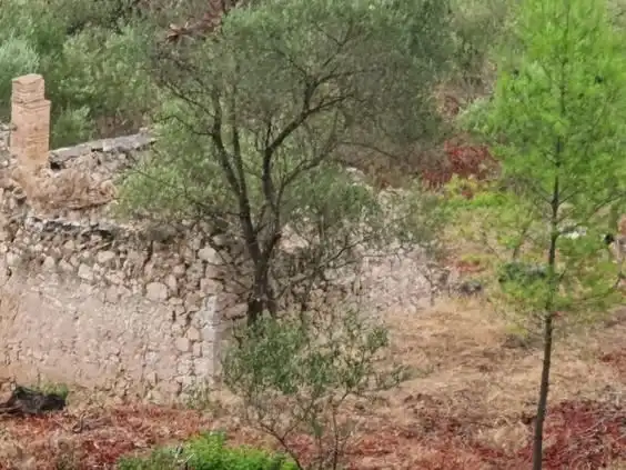 Maison à vendre à Benifallet, imagen 16