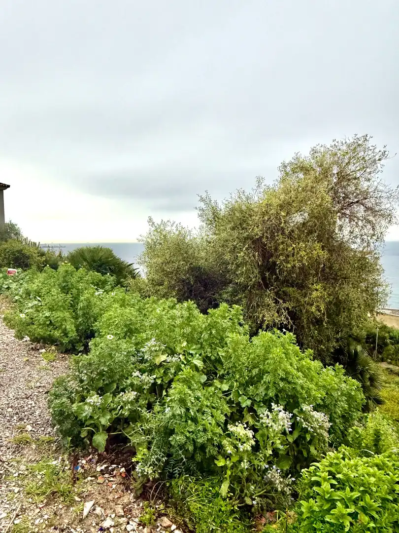 Grundstücke und Bauplätze zum Verkauf in San García, imagen 4