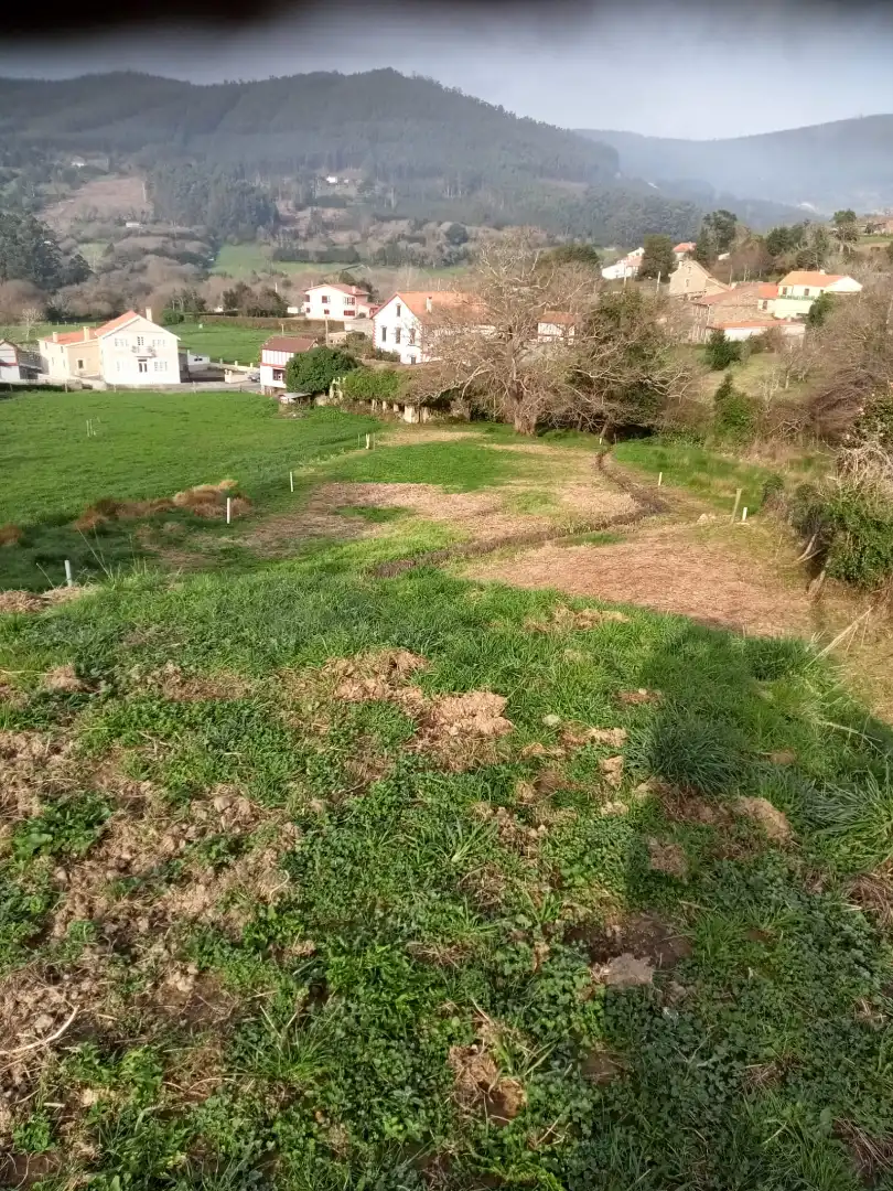 Terreni e lotti in vendita a Lugar Nogueira 3