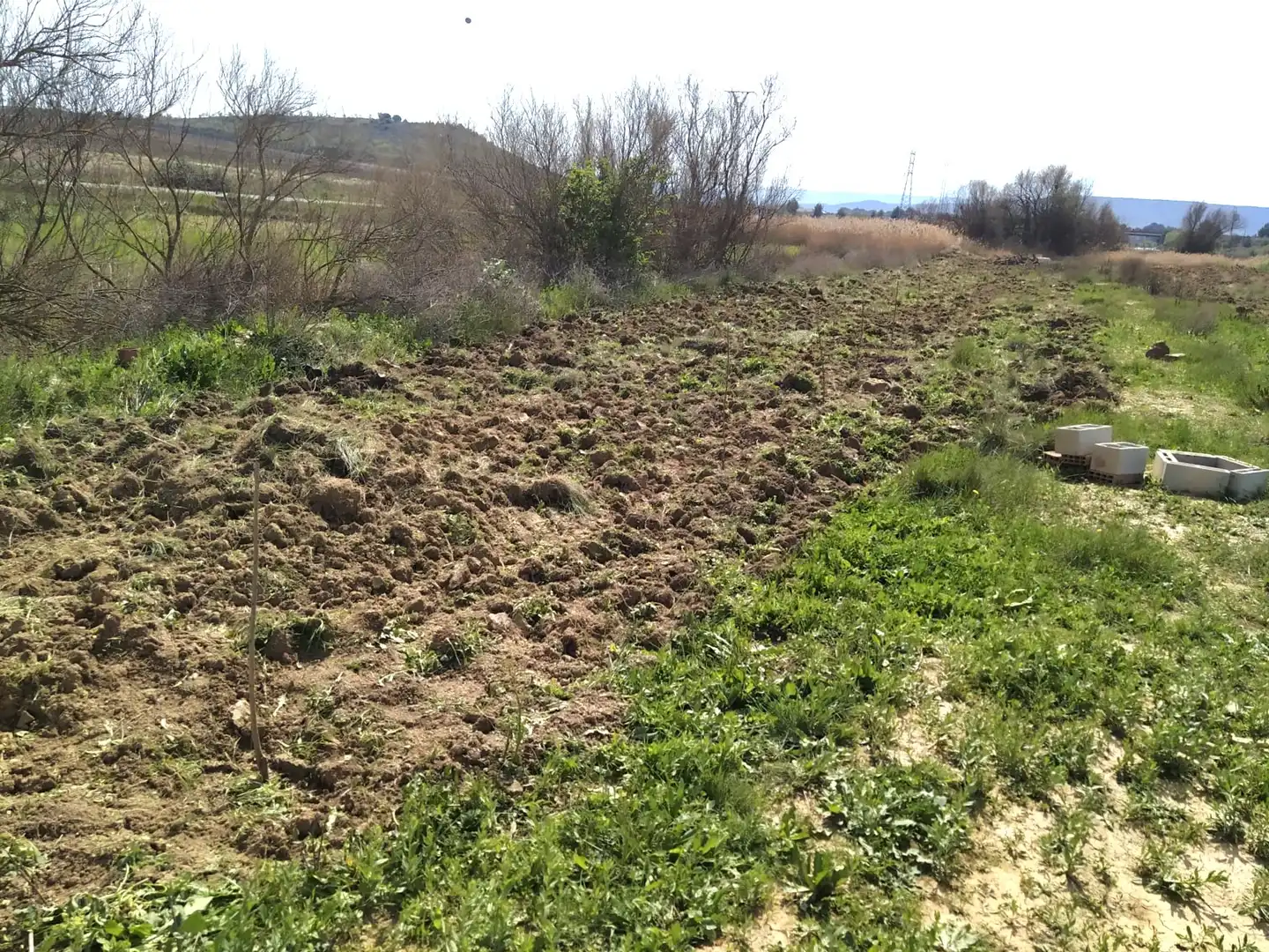 Terreno rústico en venta en Viana, imagen 2