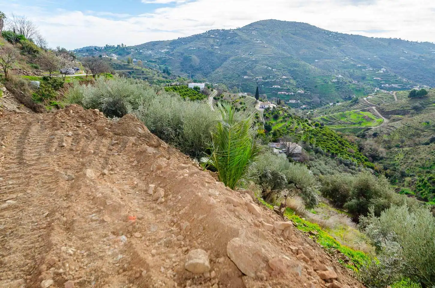 Casa rústica amb jardí en venda a Cómpeta, imagen 8
