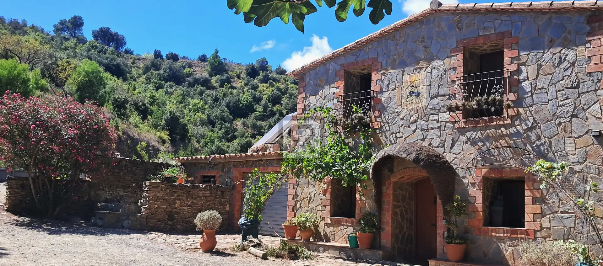 Vista exterior de Finca rústica en venta en L'Albiol con Calefacción, Jardín privado y Piscina