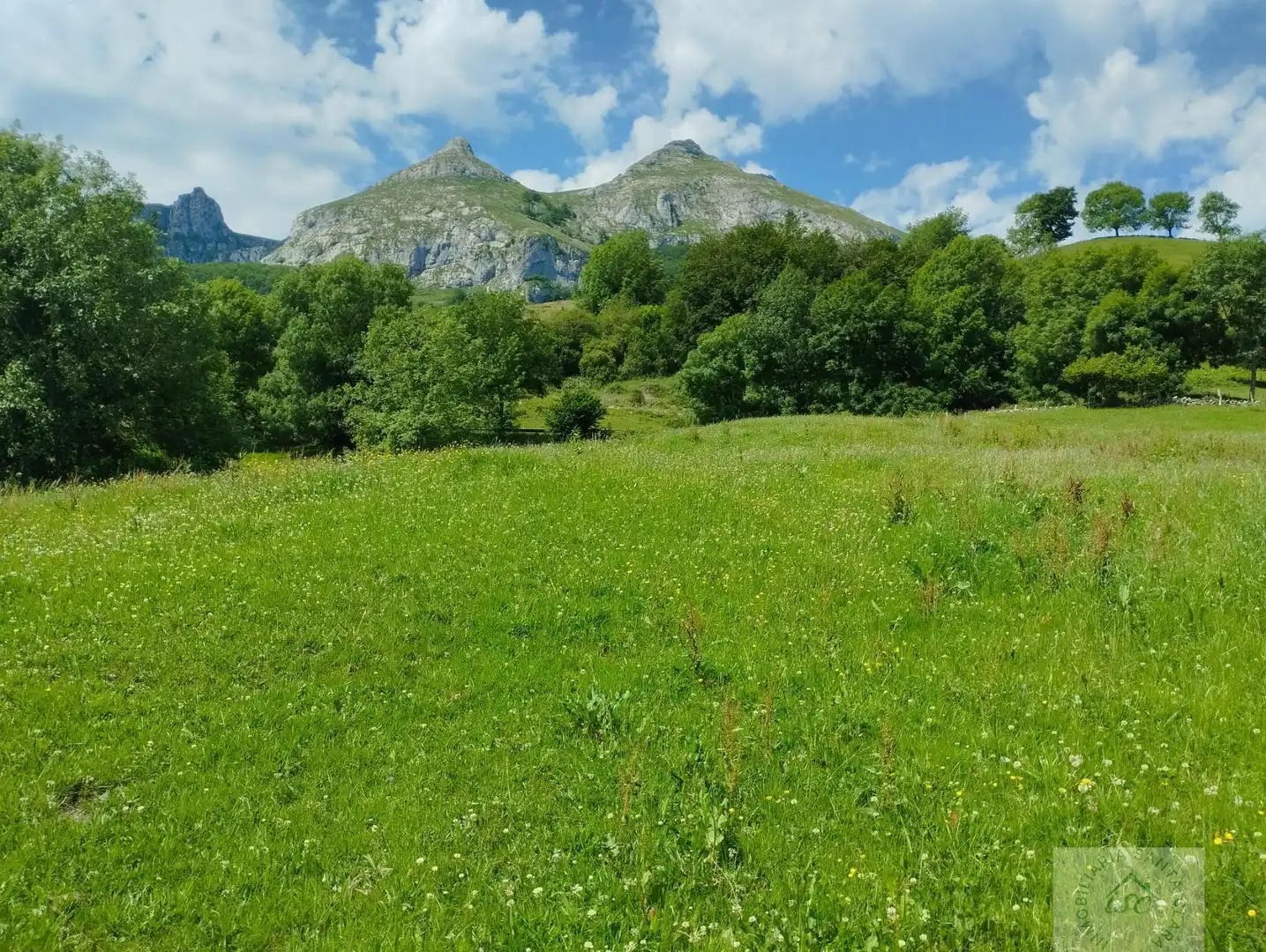 Lands and plots for sale in Reocín, imagen 3