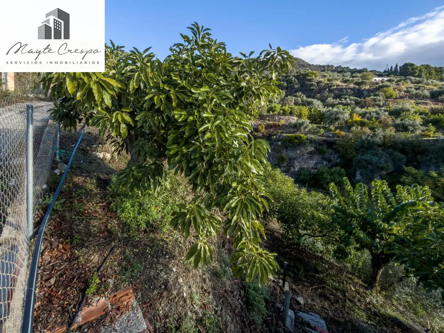 Casa rústica en venta en Calle Diseminados, Pol-8 Par-359, imagen 32
