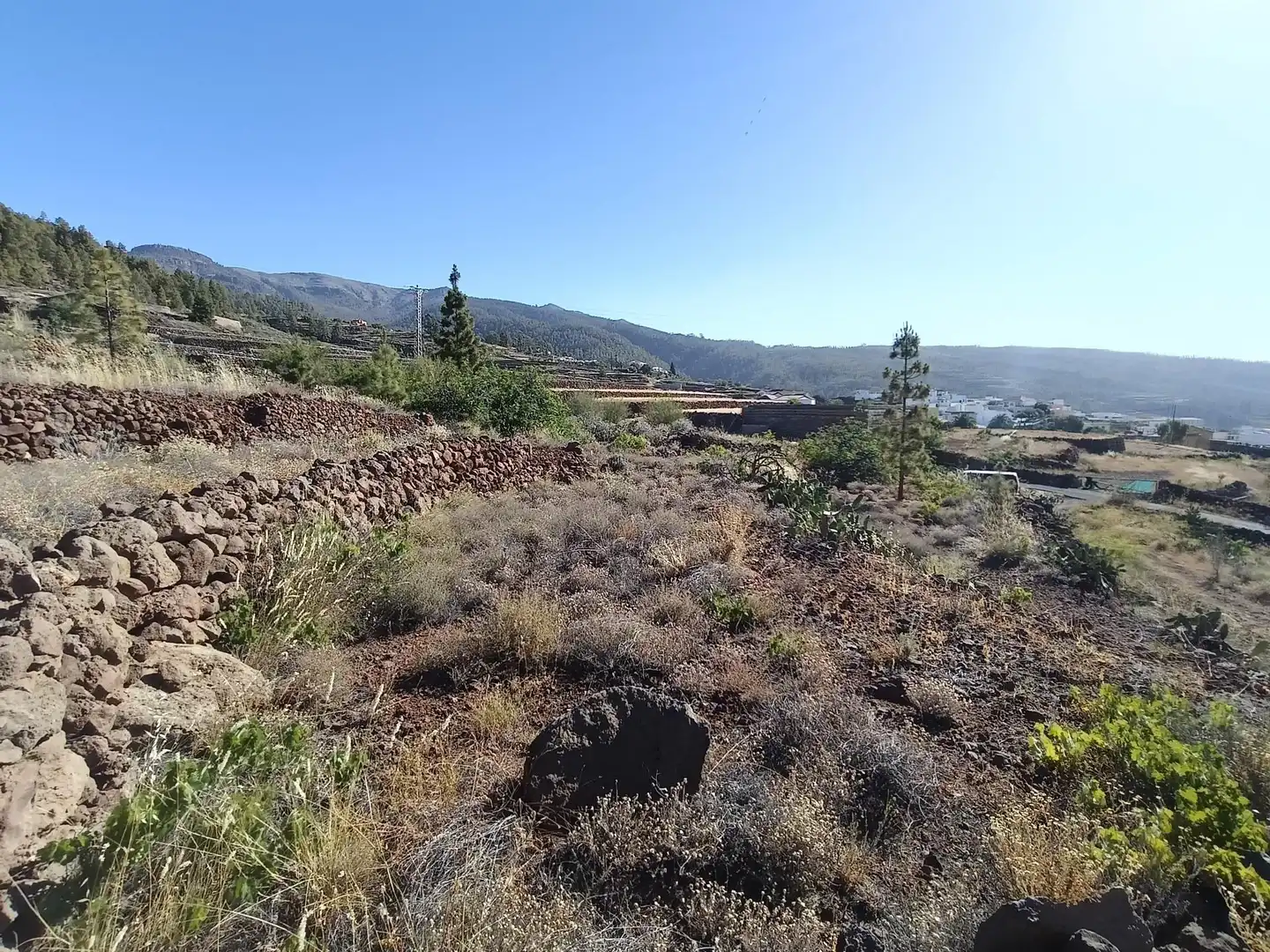Terreno rústico en venta en M\A LIRIOS. VILAFLOR DE CHASNA [S.C. TENERIFE], imagen 25