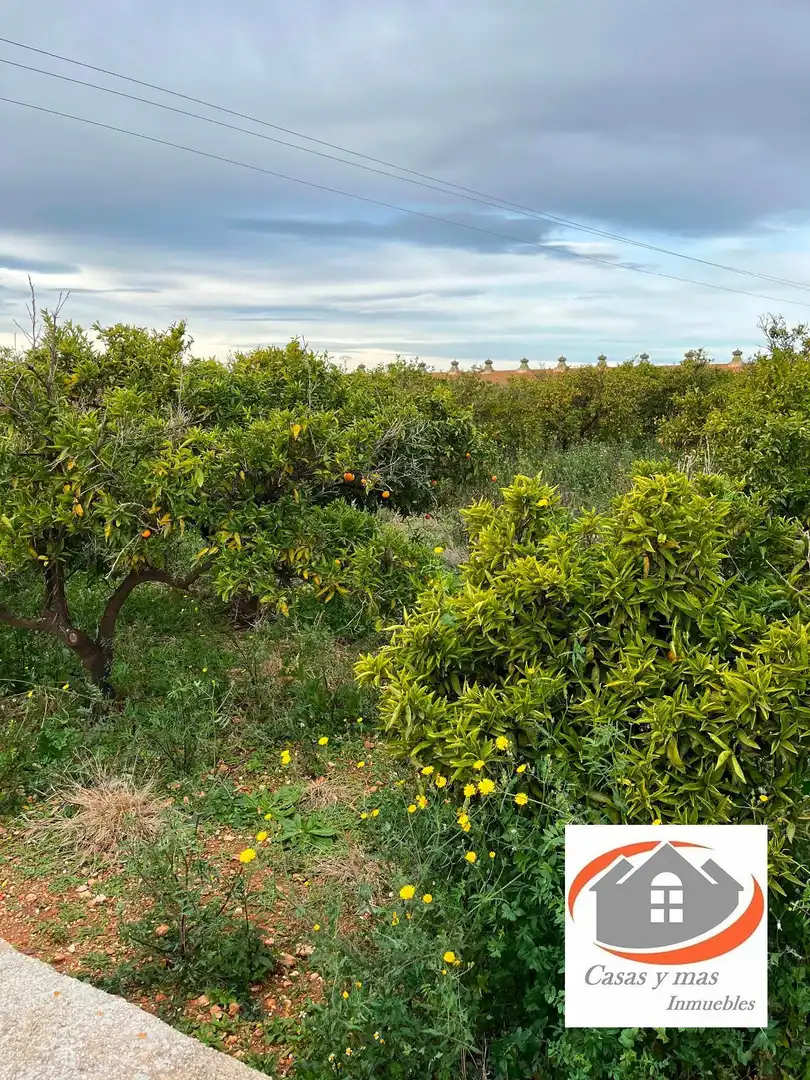 Terreno rustico in vendita a moli de llop, imagen 6