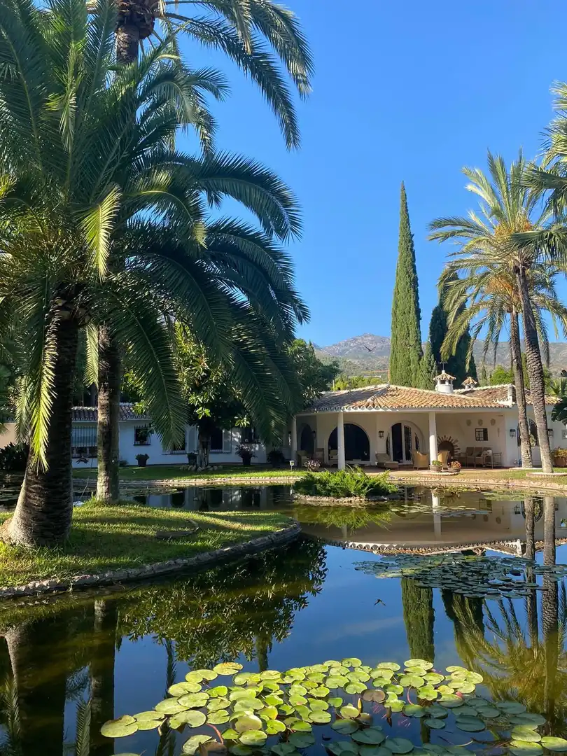 House with pool for sale in Milla de Oro, imagen 8