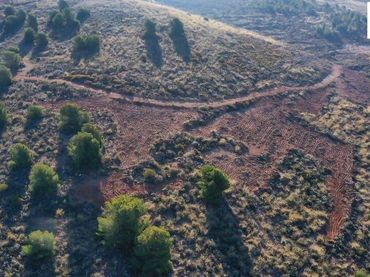 Rural land for sale in Alcolea