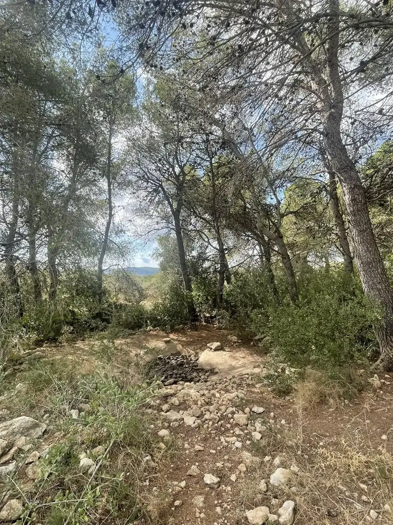Terreno rústico en venta en L'Ametlla de Mar pueblo, imagen 4