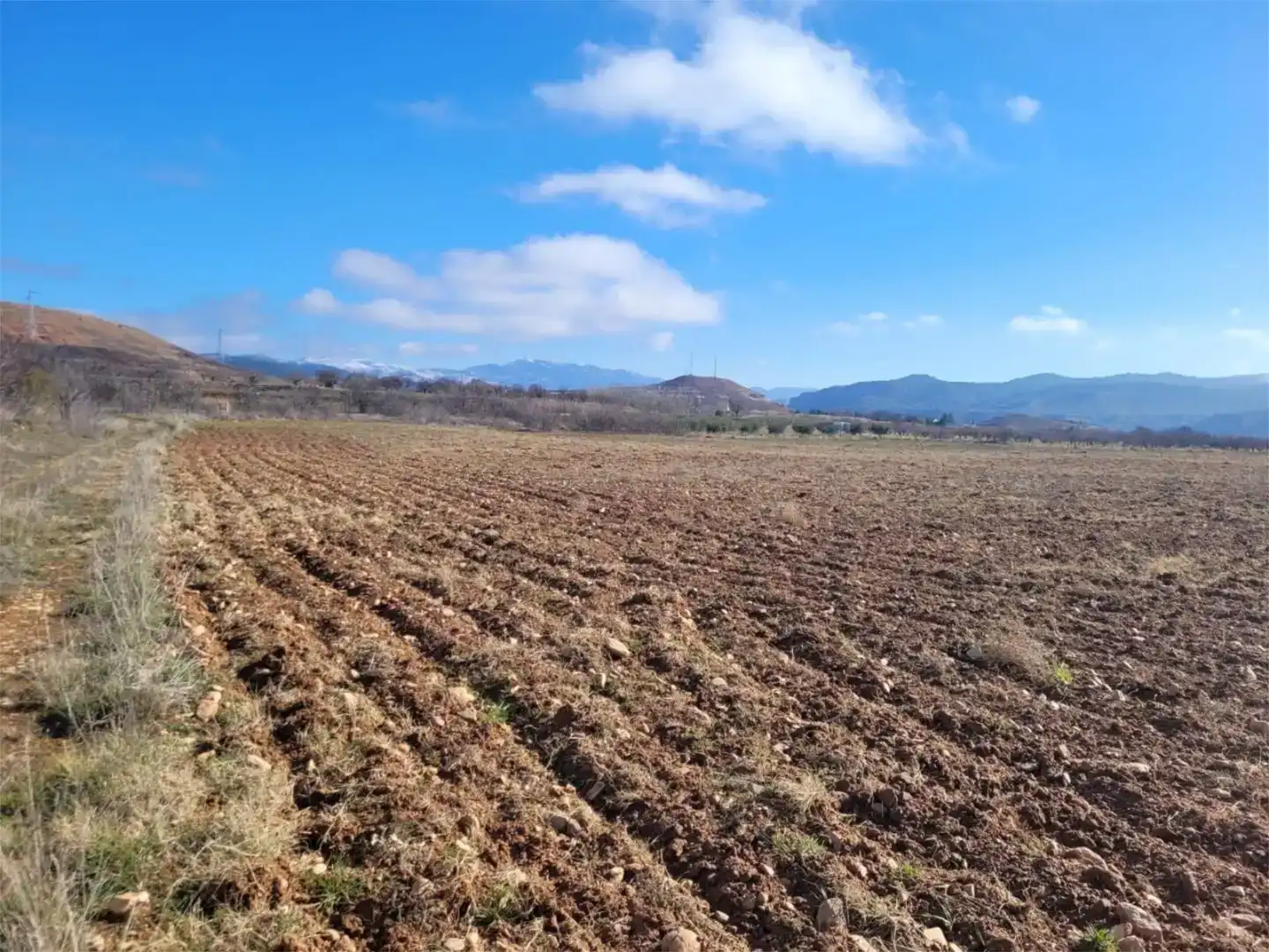 Terreno en venta en Torralba de Ribota