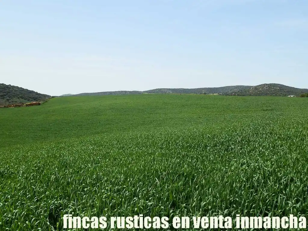 Terreno rustico in vendita a Centro - Plaza Mayor, imagen 15