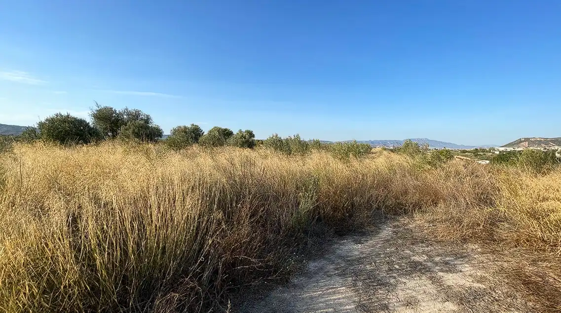 Lands and plots for sale in Pliego