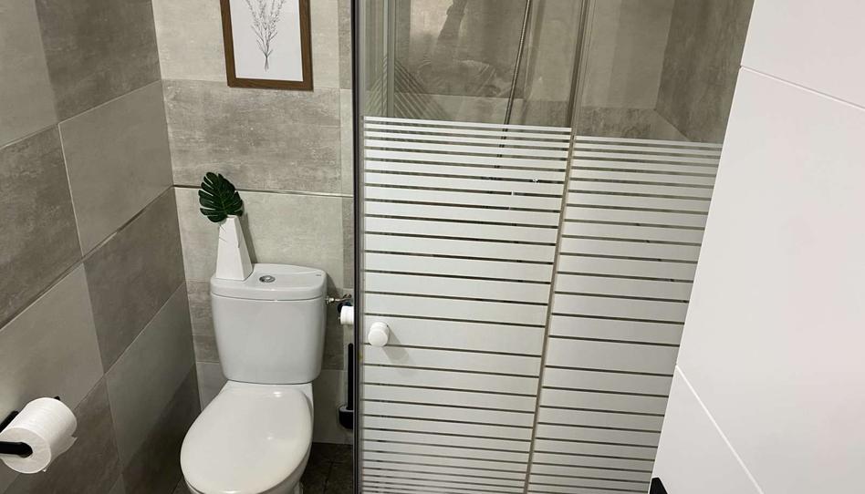 Photo 1 of Study to share in Parque Ayala - Jardín de la Abadía - Huelín, Málaga