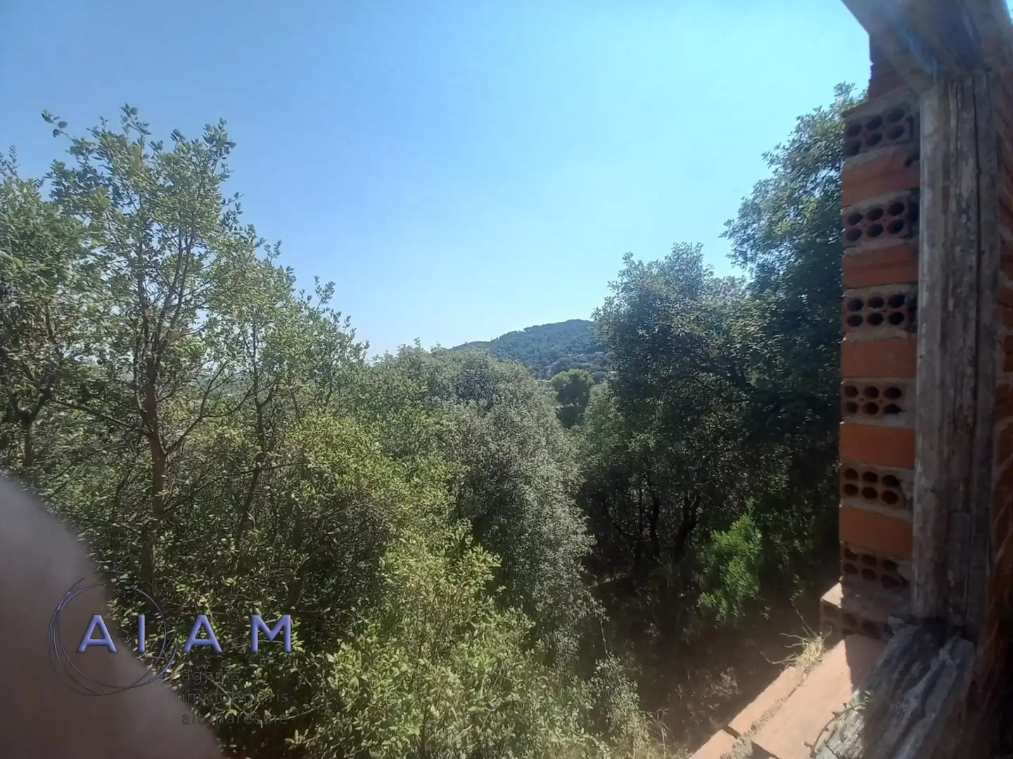 Lands and plots for sale in Palafolls, imagen 13