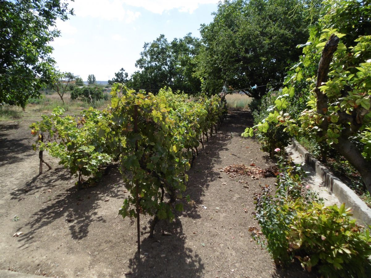 Country house for sale in El Cristo