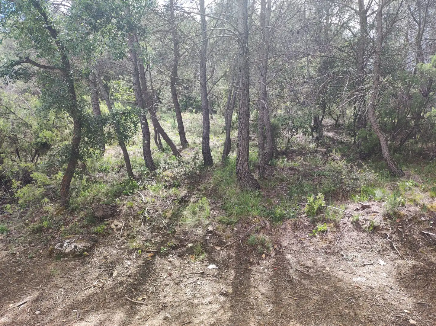 Terreno residencial en venta en Calle Nueva Sierra Gg 11