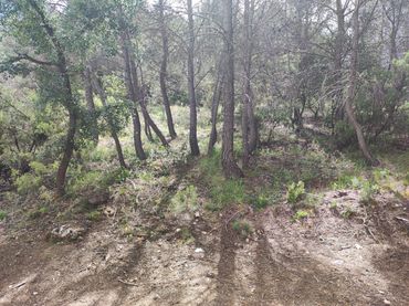 Terreno residenziale in vendita a Calle Nueva Sierra Gg 11