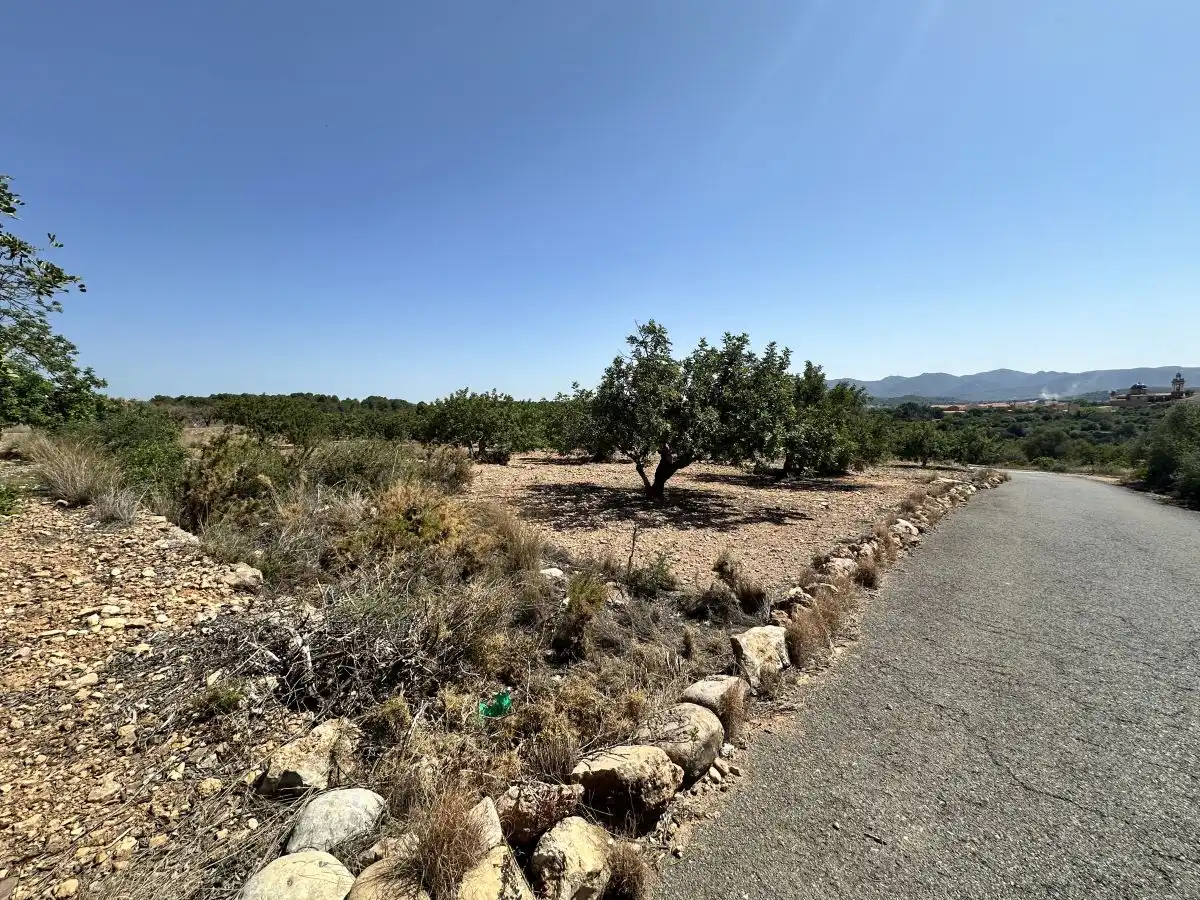 Terreno residencial en venta en Alfara de la Baronia, imagen 17
