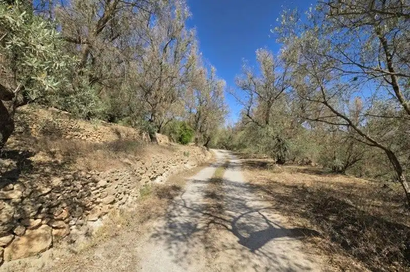 Terreno rustico in vendita a El Pinar, imagen 26
