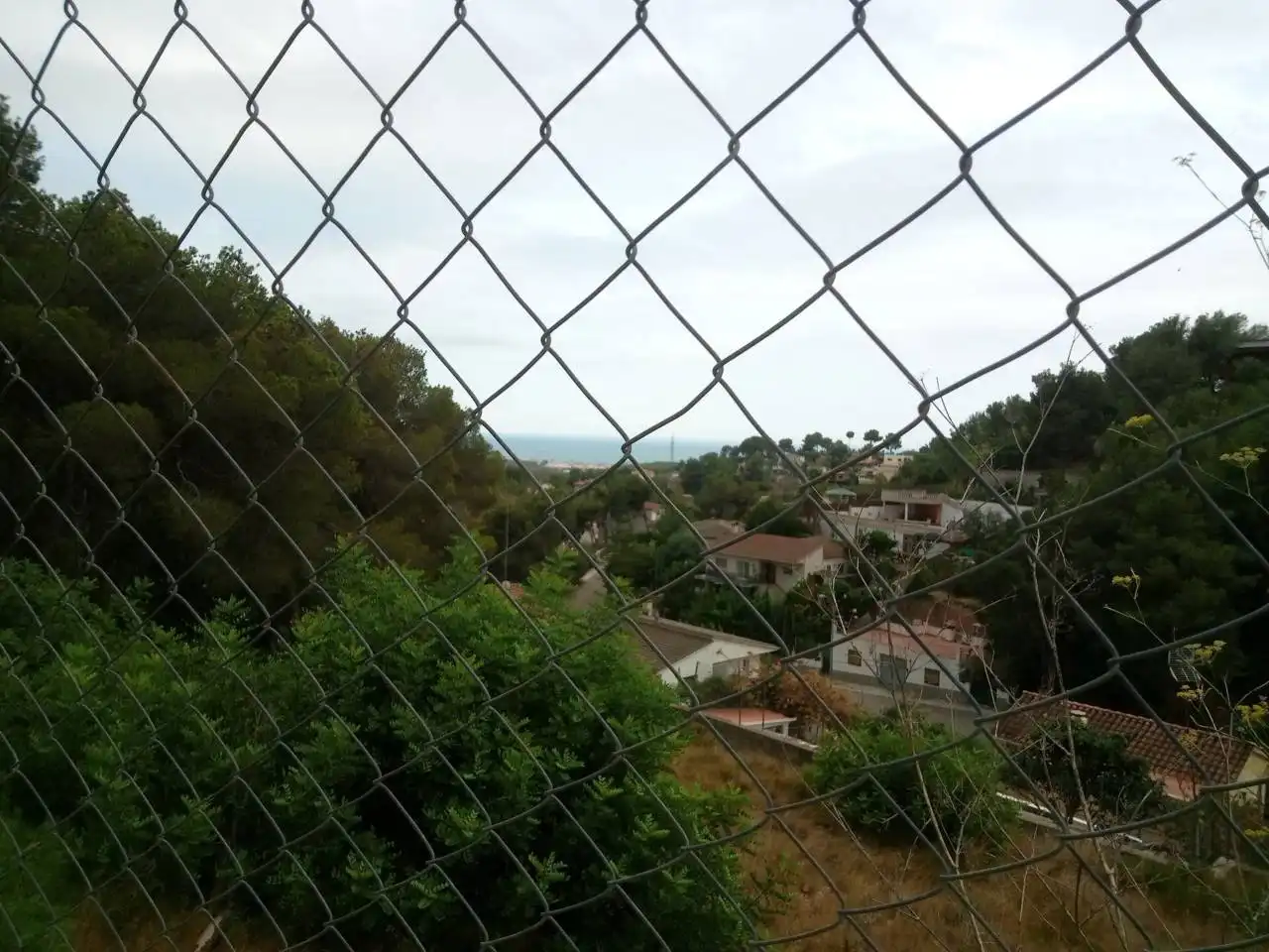 Terreno rustico in vendita a Calle Tulipa, imagen 10