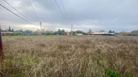 Foto 4 de Terreno en venta en Camino de la Blanca, 211, La Poblachuela, Ciudad Real Capital