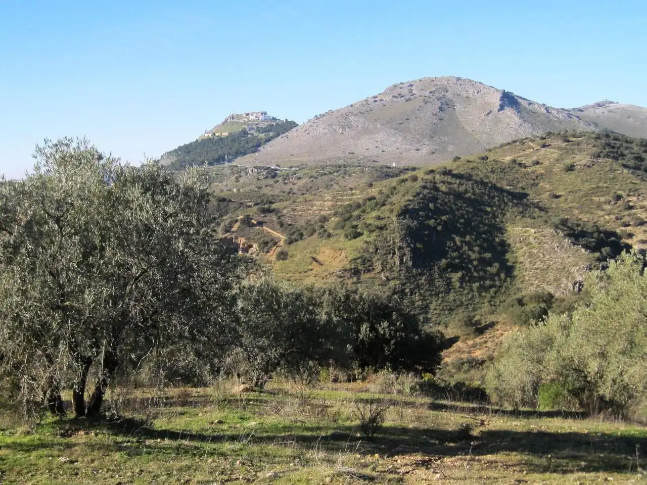 Terreni e lotti in vendita a A-7202
