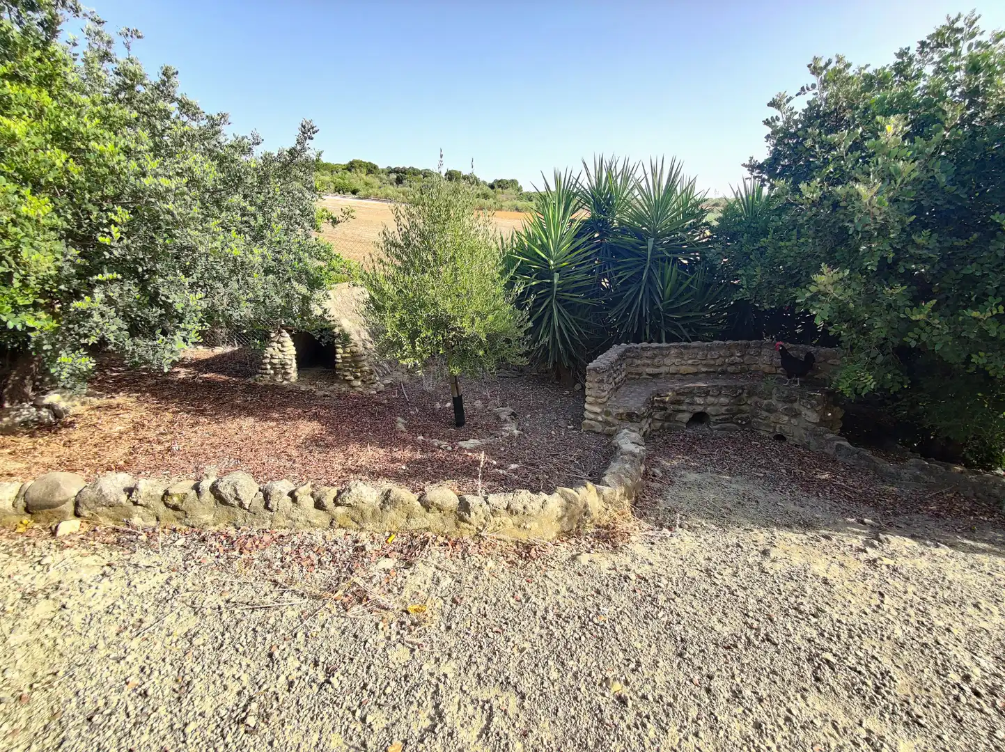 Terreno en venta en El Cuervo de Sevilla