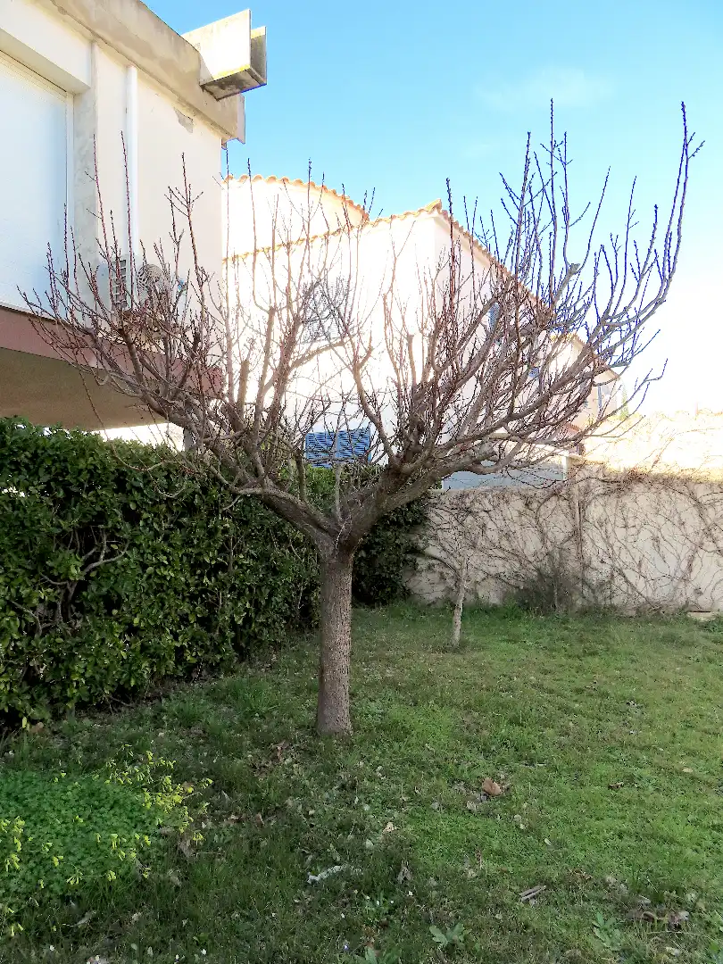 Jardín de Piso en venta en Empuriabrava con Jardín privado, Terraza y Amueblado