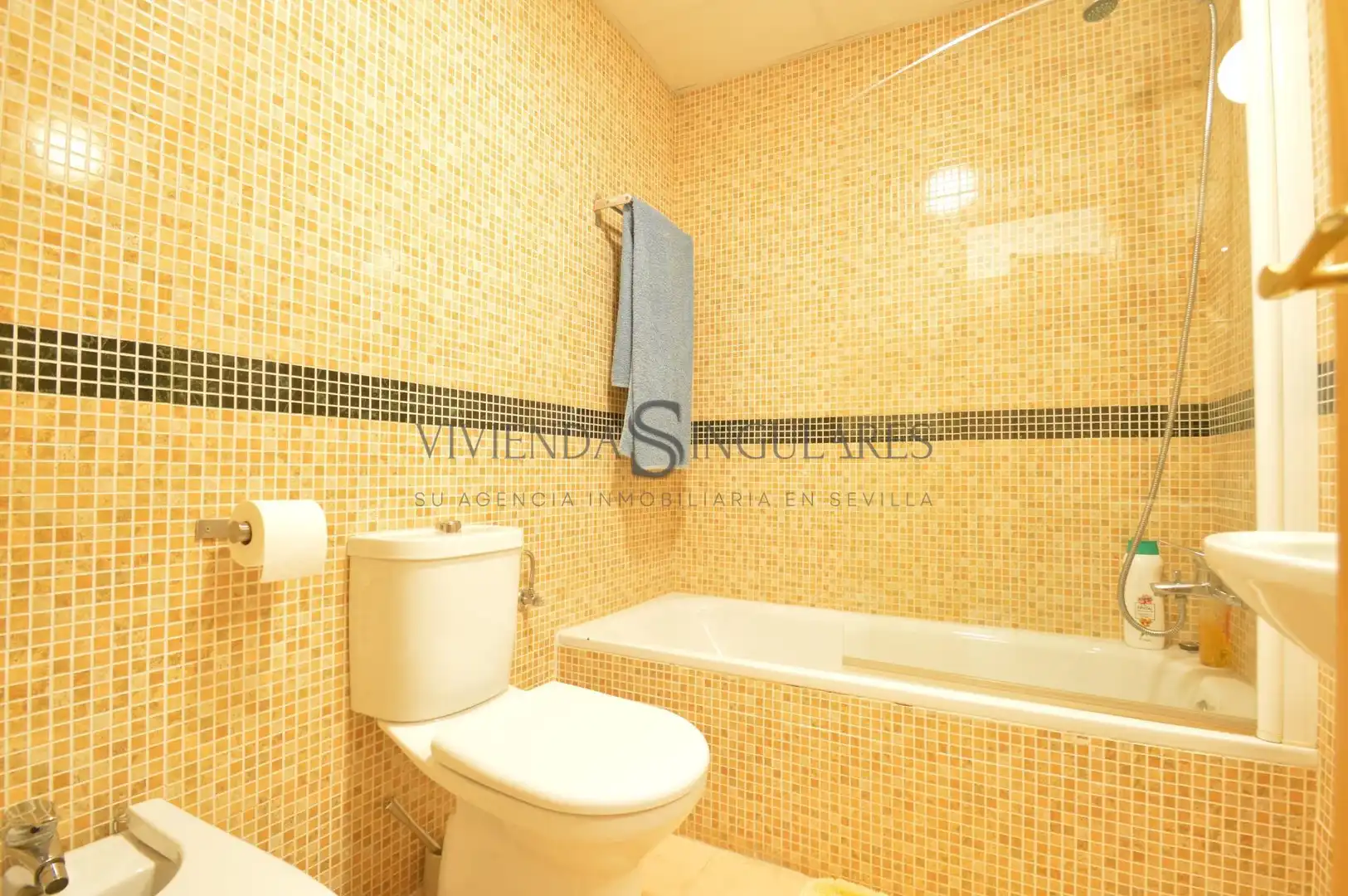 Ático en venta en San Carlos - San José