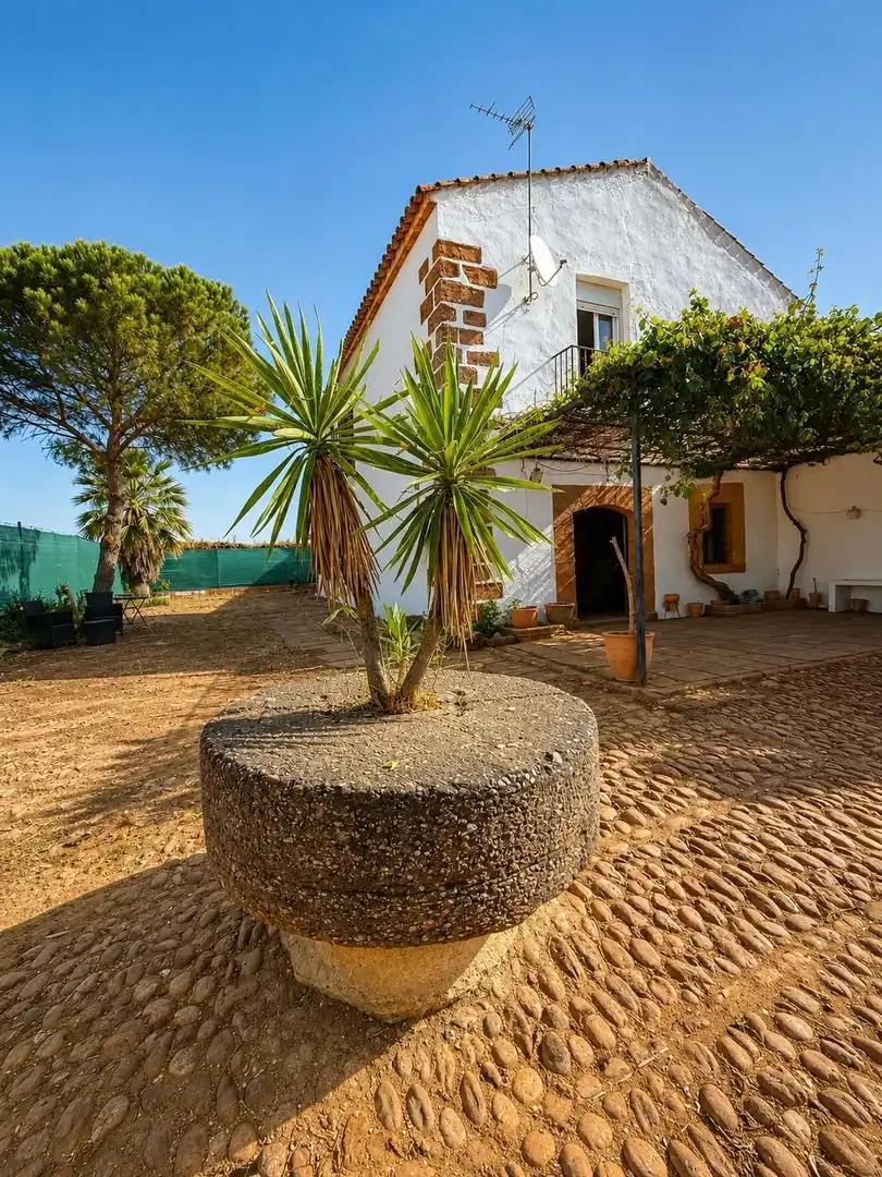 Vista exterior de Casa o xalet en venda en Montoro amb Jardí privat, Traster i Moblat