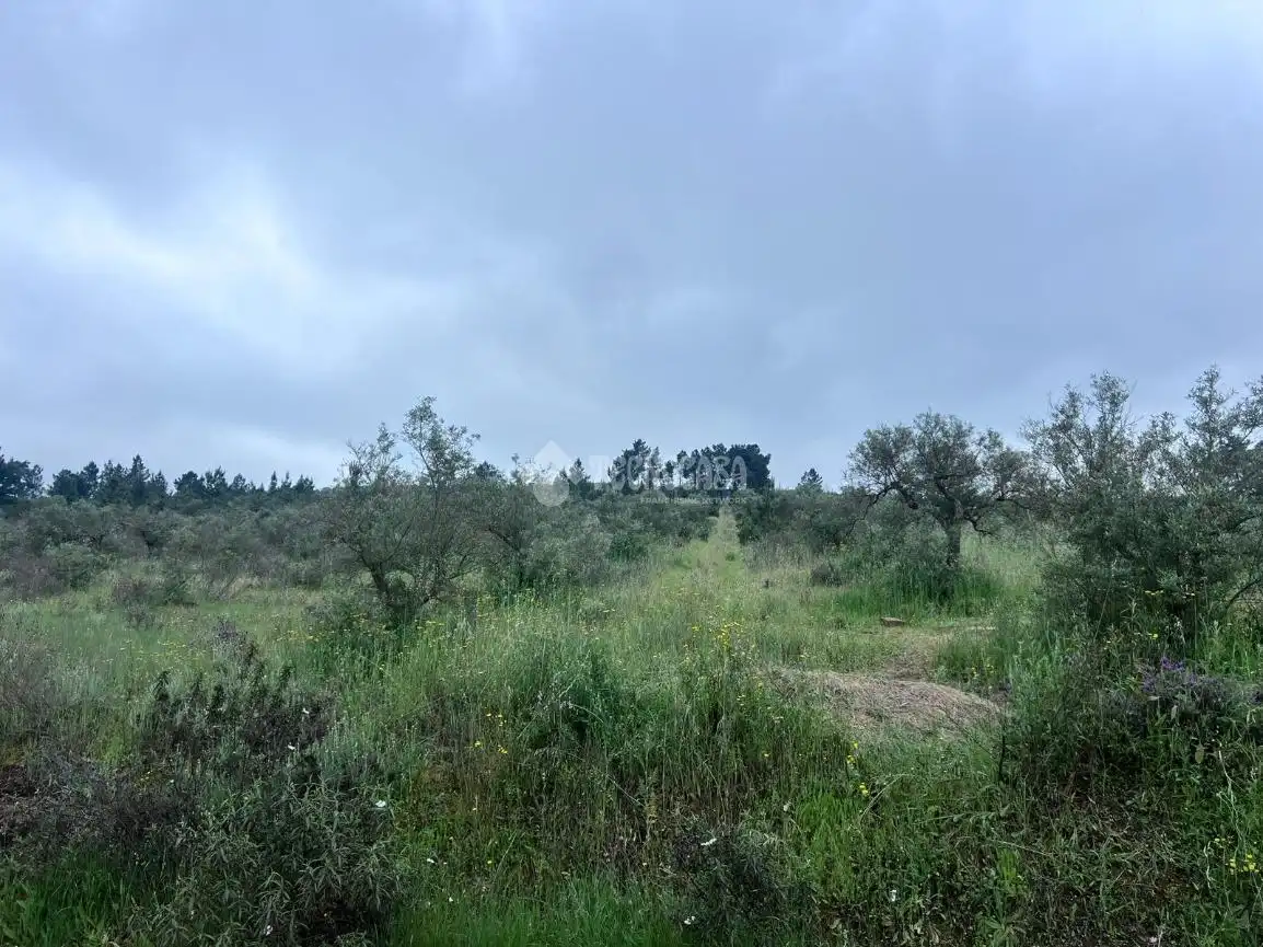 Finca rústica en venta en Puebla de Obando