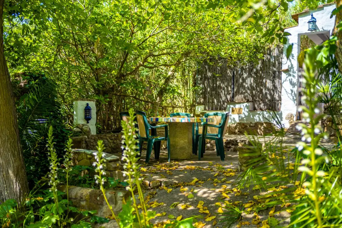 Casa rústica amb piscina en venda a Zahara, imagen 19
