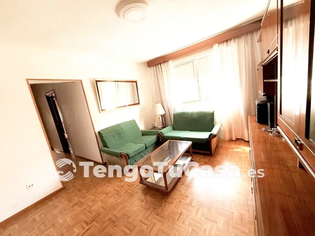 Living room of Flat for rent in Madrid  with Heating, Furnished and Oven