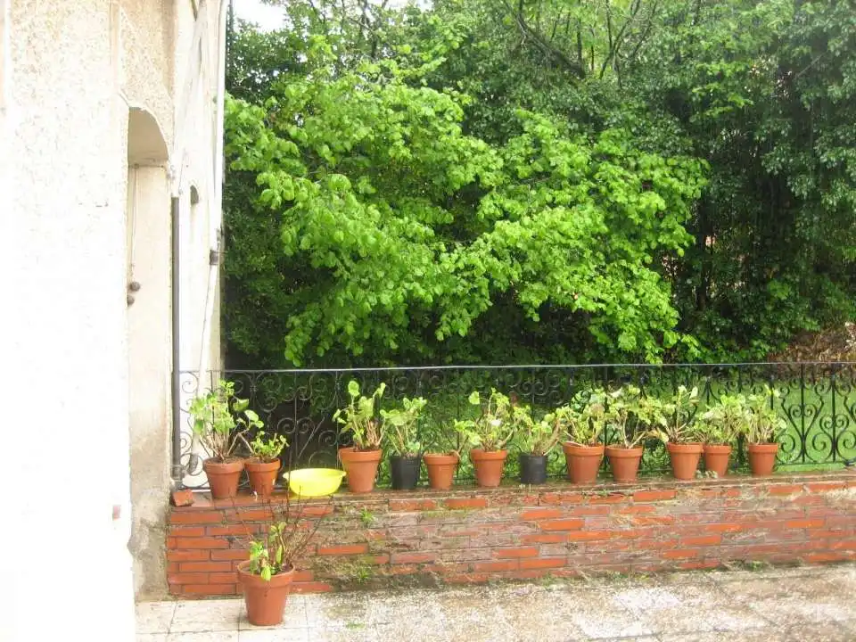 Jardí de Casa o xalet en venda en Pradoluengo