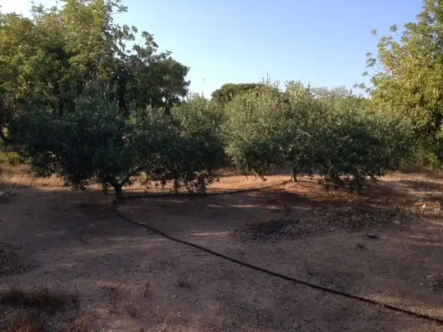 Finca rústica en venda en Valls amb Calefacció, Jardí privat i Terrassa