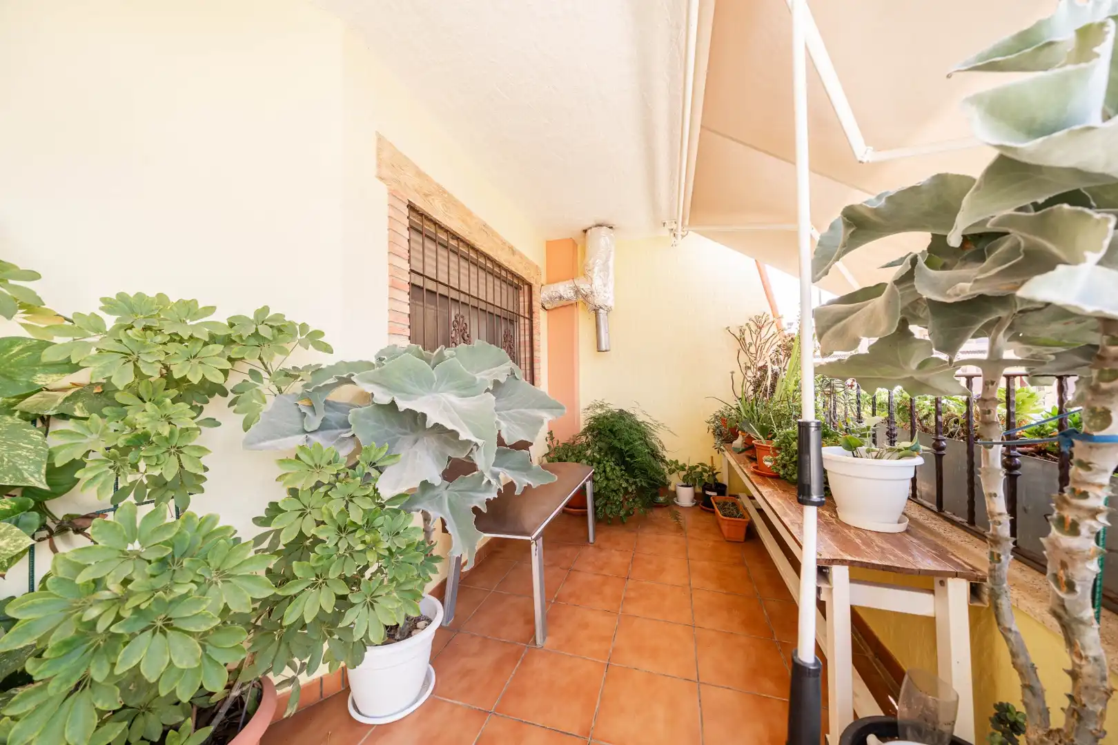Maison mitoyenne à vendre à El Mirador Pozo Aledo, imagen 2