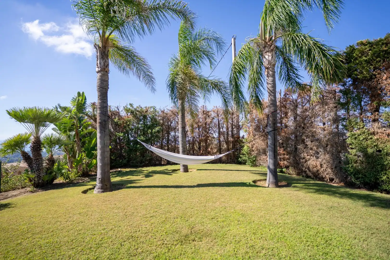 Garden of Houses for sale in El Paraíso