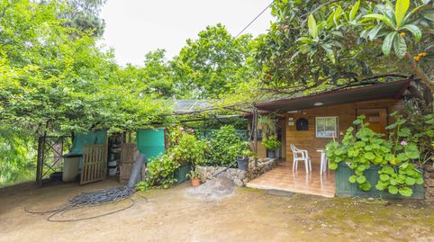 Foto 4 de Finca rústica en venta en Lomo Blanco, 22, San Juan de la Rambla, Santa Cruz de Tenerife