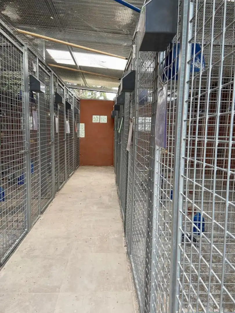 Piso en venta en Fortuna