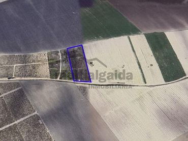 Rustikales Grundstück zum Verkauf in Ctra Jerez - Ctra del Puerto