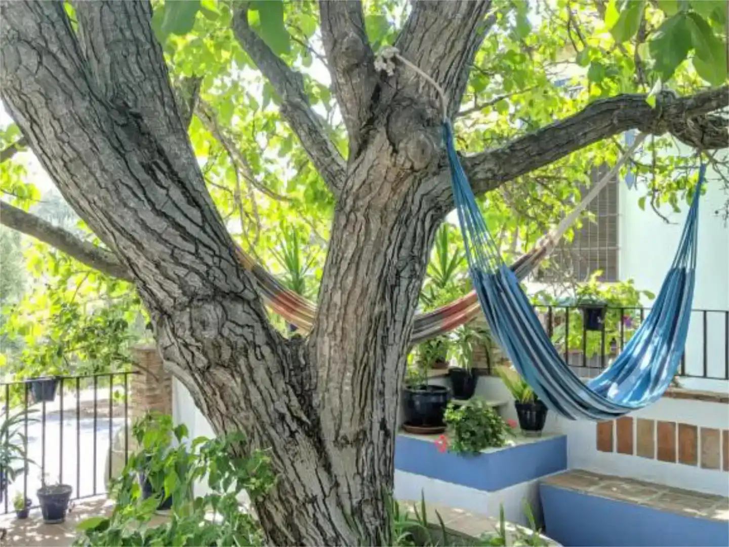 Jardín de Casa o chalet en venta en Baena con Piscina