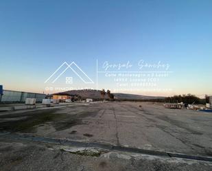 Residential to rent in Lucena
