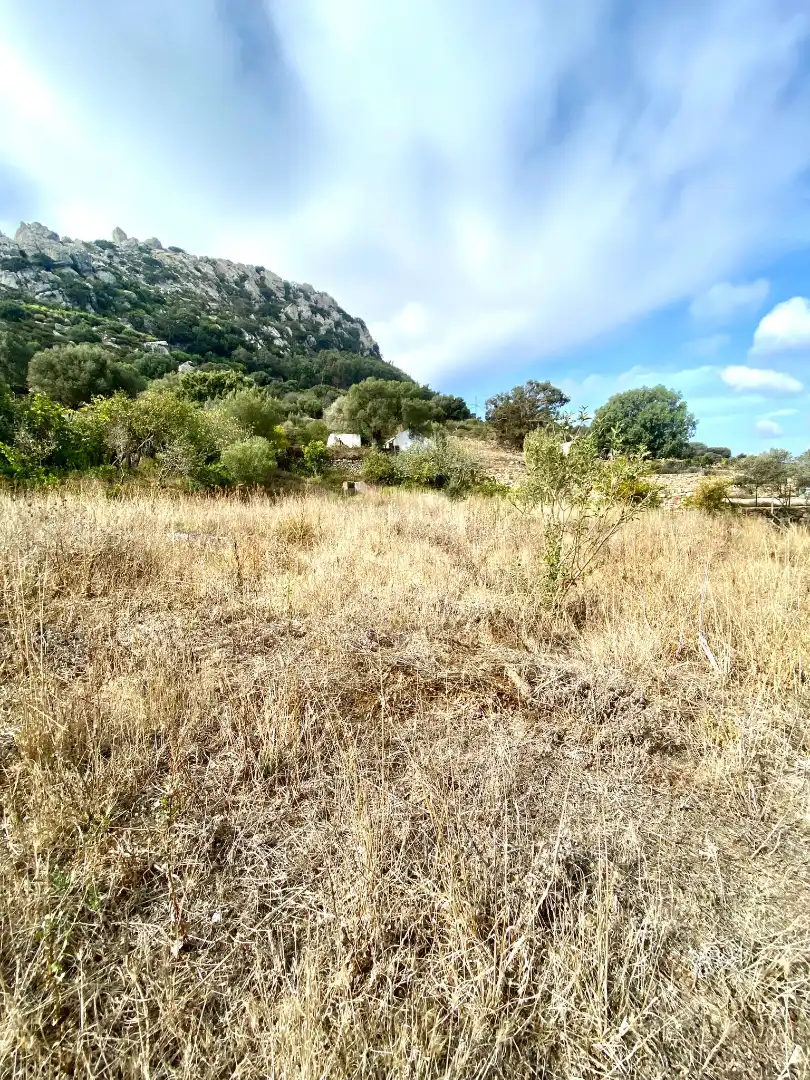 Haus zum Verkauf in Carretera de Betis, imagen 23