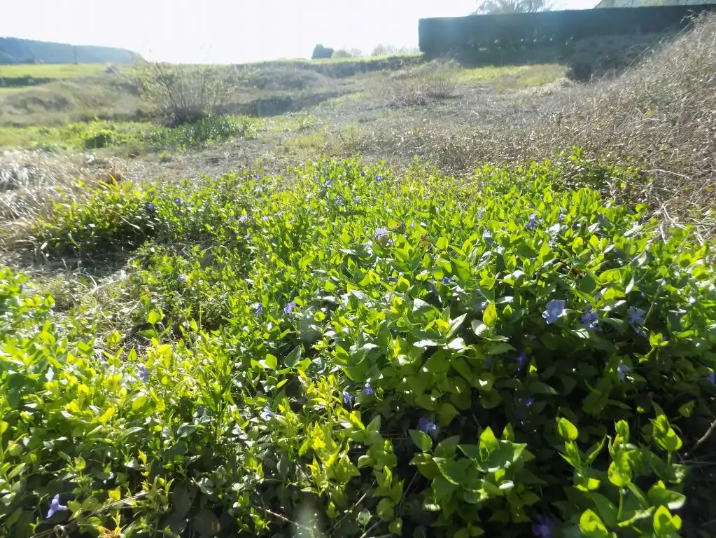 Terreno residencial en venta en Güemes, imagen 19